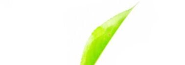 6D$RY{JSBB40L]WT7WDR6@B - 副本(běn) (2).jpg